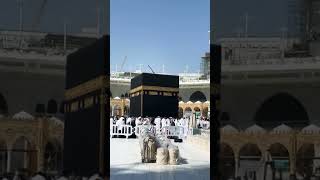 Kabay ki ronaq kabay ka manzar ll Allahu Akbar live viralvideos viralshort [upl. by Maurice]