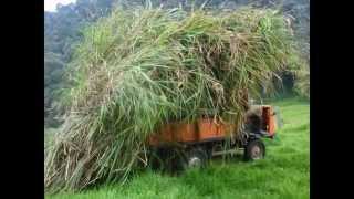 CUATRIMOTO  AGROCAR Carro Rural Colombiano Nuevo contacto agrokar100gmailcom [upl. by Hsihsa5]