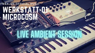 Microcosm  Werkstatt01 Live Ambient Jam Session Relaxing Ambient [upl. by Aleahs]