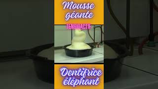 Chimie récréative Tensioactif et mousse géante Dentifrice pour éléphantTensioactifséducation [upl. by Delilah710]