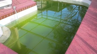 How to Clear Up Green Swimming Pool Water Pt 2 [upl. by Felder]