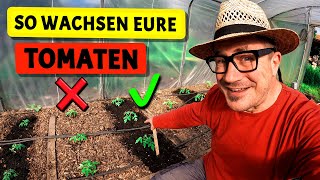 Wachstumsschub für eure Tomaten  Terra Preta Küken Gartenarbeiten im Mai [upl. by Hacim91]