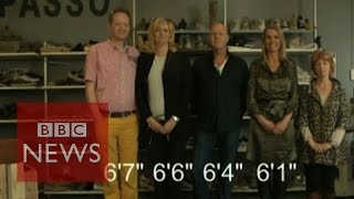 Why are the Dutch so tall BBC News [upl. by Gerardo402]