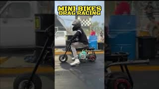 NITROUS MINI BIKES CORVETTES MUSTANGS RACING 111724 PT1 [upl. by Enisamoht]