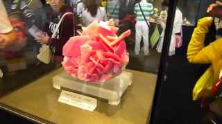 THE CHANGSHA CRYSTAL SHOW FIRST PART MAY 1620 2013 [upl. by Dorothea]