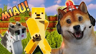 PETUALANG BARENG SI KUCING  Minecraft Survival 7 [upl. by Turner712]