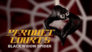 Parquet Courts  quotBlack Widow Spiderquot Official Music Video [upl. by Thirion217]