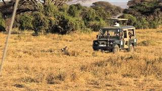 Abercrombie and Kent safari in Kenya amp Tanzania September 7 2024 [upl. by Debora981]