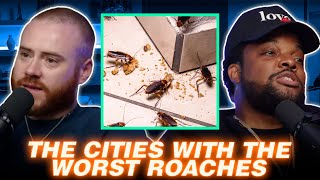 The Cities With The Worst Roaches  NEW RORY amp MAL [upl. by Yeruoc]