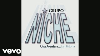 Grupo Niche  Duele Más Cover Audio Video [upl. by Ynahirb]