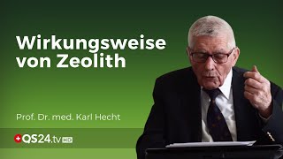 Zeolith im Körper Wirkungsweise nach der Einnahme  Prof em Prof Dr med Karl Hecht  QS24 [upl. by Assila]