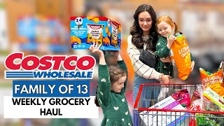 Big Family Big Haul Epic Costco Grocery Loads of Snacks [upl. by Sihunn]