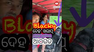 Blacky ￼deha kharap nauchhu athagarh prani medical odia mini vlog odiaminivlog odiasort athagarh [upl. by Hanleigh]