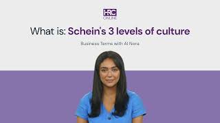 What is Scheins 3 levels of culture [upl. by Niuq]