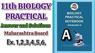 A EXPERIMENTS TO BE PERFORMED  11th Biology Practical answer Biology practical class 11th [upl. by Ycnan132]