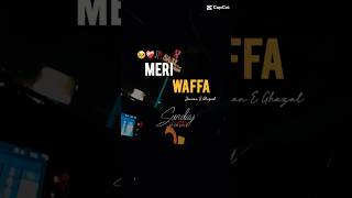 Meri WaFFa🥺🔥💯trendingshorts youtubeshorts viralvideos poetrystatus reels foryou trending [upl. by Harifaz]