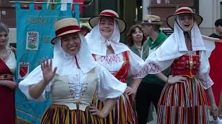 Desfile de Colectividades [upl. by Enelia533]