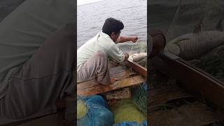 fishing videorohu fishfishing [upl. by Loziram]