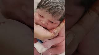 Baby bonding viralvideo littleprince newbornbaby mylittleprince [upl. by Geiger]