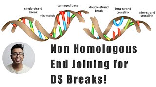 Non homologous end joining DNA repair [upl. by Kevyn404]