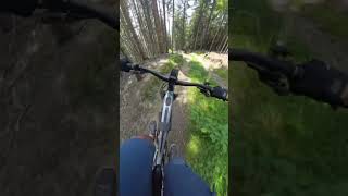 EBiken in der Schweiz PT 4 boschebike downhillmtb mountainbike [upl. by Eusadnilem]