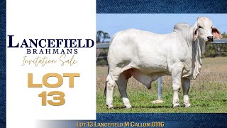 Lot 13 Lancefield M Callum 8116 [upl. by Damour]