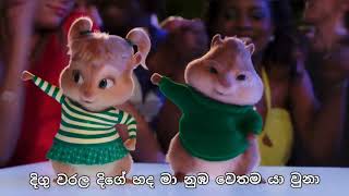 ලෙලෙනා  Lelena  Nilan Hettiarachchi song  Chipmunks amp Himabole version song with lyrics [upl. by Annabal]