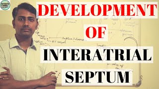 DEVELOPMENT OF INTERATRIAL SEPTUM [upl. by Neirda]