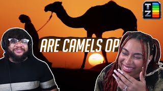 Are Camels OP  Tier Zoo Reaction [upl. by Doralynne]