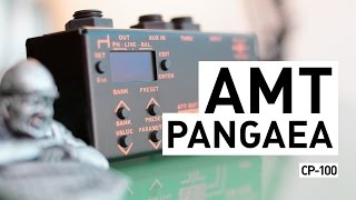 AMT PANGAEA CP100 IR Cabinet Simulator [upl. by Ahsikad85]