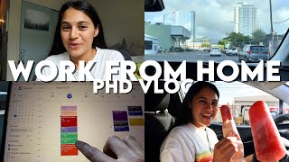 Realistic PhD Student Work From Home Day in the Life Hawaii  STEM PhD VlogLate Stage PhD Student [upl. by Erapsag]