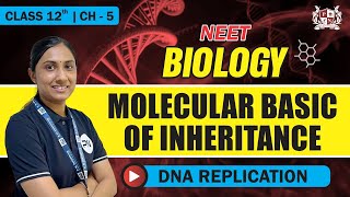 DNA Replication  CH 5 MBOI  For Class 12 Biology [upl. by Anerac]