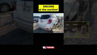 Encore at the Auction Journey to a Buick SUV 🚙 🚗 subastadecarros [upl. by Victorine]