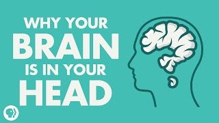 Why Your Brain Is In Your Head [upl. by Sokairyk127]