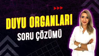 DUYU ORGANLARI 💯 SORU ÇÖZÜMÜ l Seda Hoca Biyoloji ayt2023 [upl. by Guido]