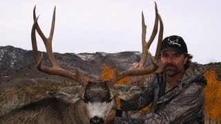 Great Typical 194quot Mule Deer Hunt in Nevada  MossBack [upl. by Nahsrad]