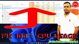 How to Fix 100 CPU Usage in Windows 11 [upl. by Bonne197]