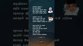 Ilaiyaraja இசையின் மாயாஜாலம் Payanangal Mudivathillai  Thogai ilamayil  தமிழ் பாடல் வரிகள் [upl. by Boser]