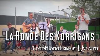 La Ronde des Korrigans  Traditionnel cover by Llywarn [upl. by Eelak]