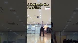 A Rattlesnake Kissline dance대한 생활 체육회인천라인댄스 홍은미라인댄스 [upl. by Terzas]