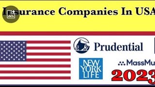 Life Insurance In USA  Types Of Life Insurances In USA  5 Best Insurance Company 2024 In USA [upl. by Irat]