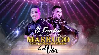 El Forastero  Binomio de Oro de América  Cover  Marrugo En Vivo [upl. by Belda]