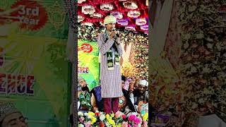 Sameer Raza Allahabadi Ki Naat 2024 naat shorts [upl. by Rehpotsihrc18]