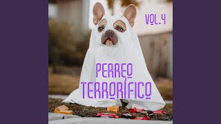 Por Perro [upl. by Inaluiak]