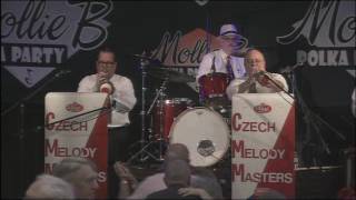 Czech Melody Masters  The Shiner Song Polka [upl. by Ib957]