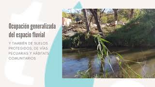 Conservación del río Guadarrama [upl. by Nemzzaj]