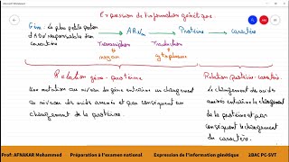 10Préparation à lexamen national  Lexpression de linformation génétique 2BAC PCSVT1BAC SM [upl. by Eilrahs]