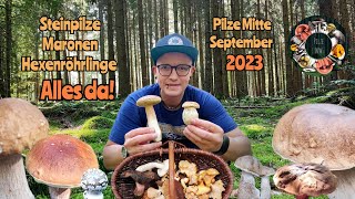 Es pilzt gewaltig Wunderschöne PilzFunde Mitte September 2023 [upl. by Haydon]