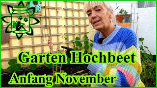 Garten November  Jetzt noch Knoblauch stecken  Hochbeet vorbereiten im Herbst  Gartenarbeiten [upl. by Epoillac79]