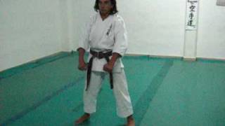 Karate Shotokan  Kata Heian Yondan por Jorge Navarro 5ª Dan  Puerto Madryn [upl. by Tonie]